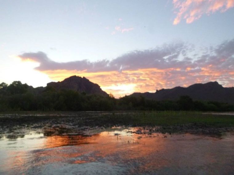 Saguaro Lake